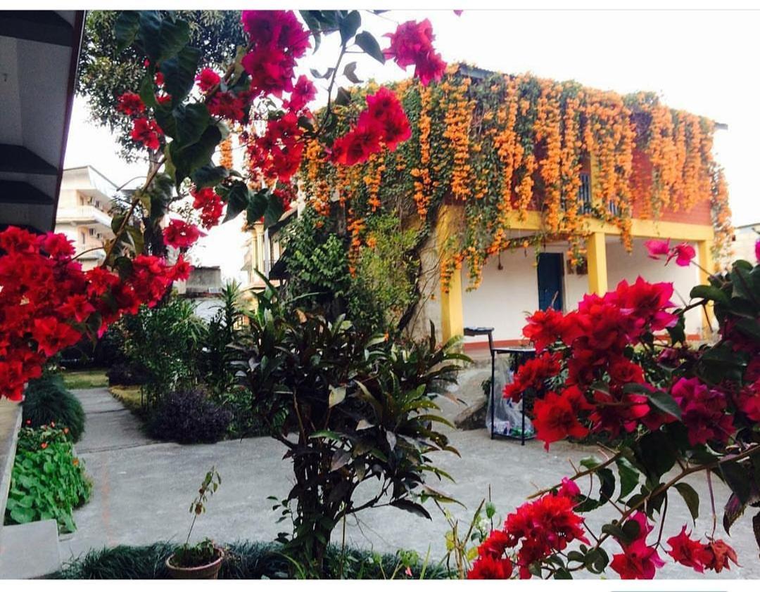 Hotel Mountain View - Lakeside Pokhara Exterior photo